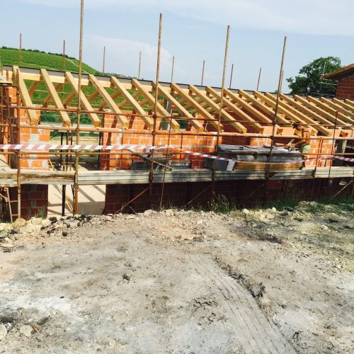 img_0317-Yle5kWk7zvSDD1zP