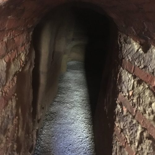 img_2422-mk35nvnNxofG9r3p