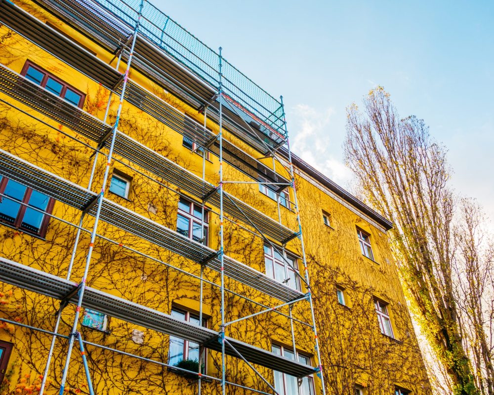 envato_73XEZNX_1762184441